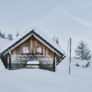 Donnez une nouvelle vie a votre chalet : conseils et idees pour une renovation reussie