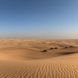 Les meilleurs prix pour les circuits safari dans le désert de Dubaï : Top 5 des offres luxueuses abordables