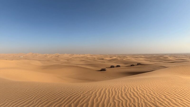 Les meilleurs prix pour les circuits safari dans le désert de Dubaï : Top 5 des offres luxueuses abordables