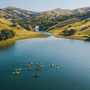 Découverte nature au lac Berryessa : Itinéraires de randonnée et spots d’observation animalière